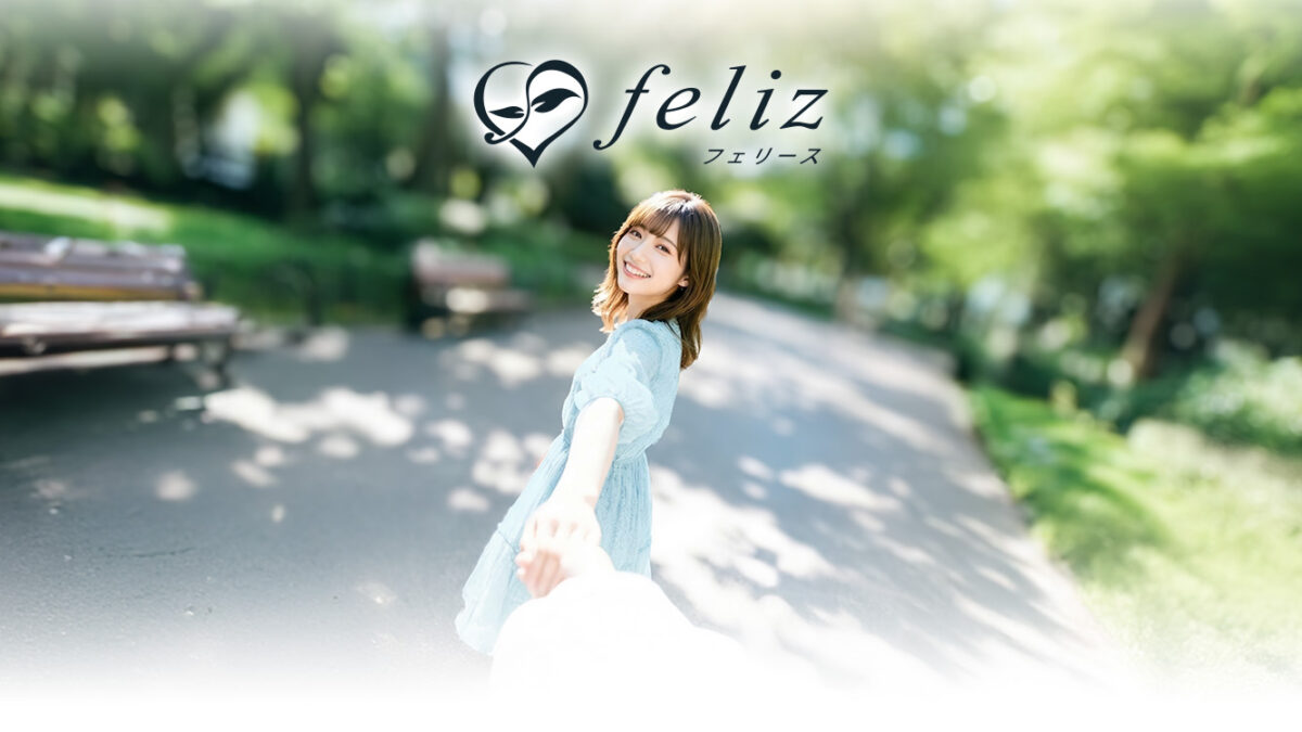 フェリース公式Web版の紹介画像